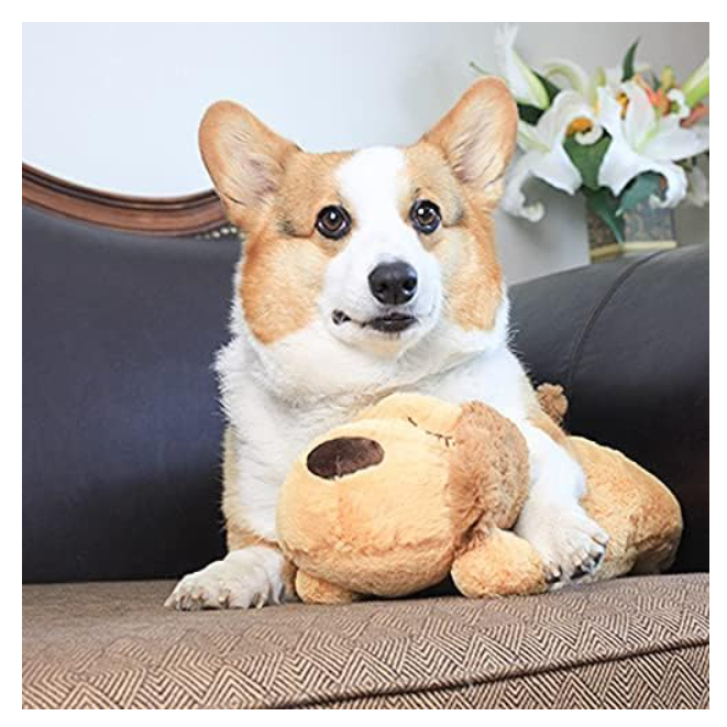 Anxiety Relief Puppy Toy with Heartbeat Dog Calming Behavioral Training Toy