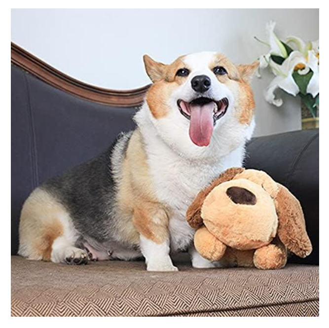 Anxiety Relief Puppy Toy with Heartbeat Dog Calming Behavioral Training Toy